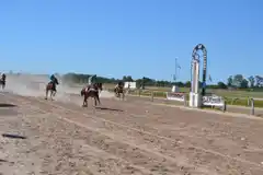Turf: se realizó la reunión hípica en el hipódromo local