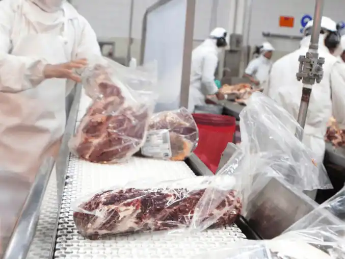 Pese a la caída del inicio de año, “el panorama para las exportaciones de carne sigue mostrando oportunidades”