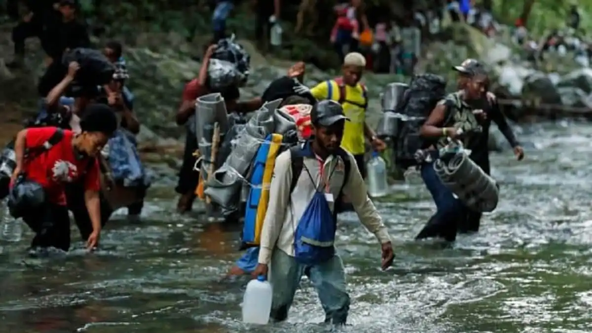 VENEZOLANOS SIGUEN inundando el Darién: más de 326.000 han pasado por esa selva este año