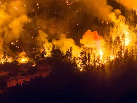 El gobierno declarará por decreto la emergencia ígnea para las provincias que sufren los constantes incendios en el sur
