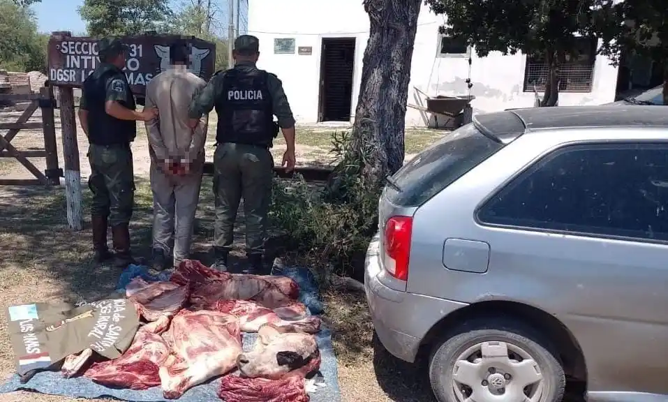 Faena ilegal: un aprehendido, un auto secuestrado y varios cortes de carne encontrados en un operativo