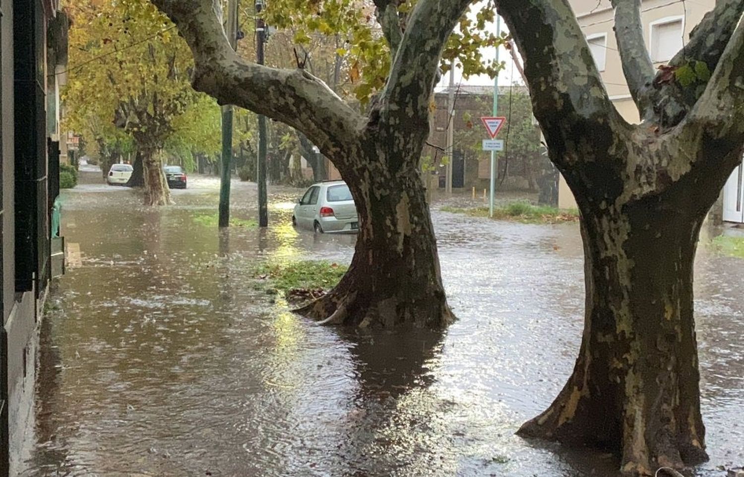 La Plata: "A diferencia de hace 10 años, hoy tenemos un equipo preparado", dijo Garro  tras el temporal