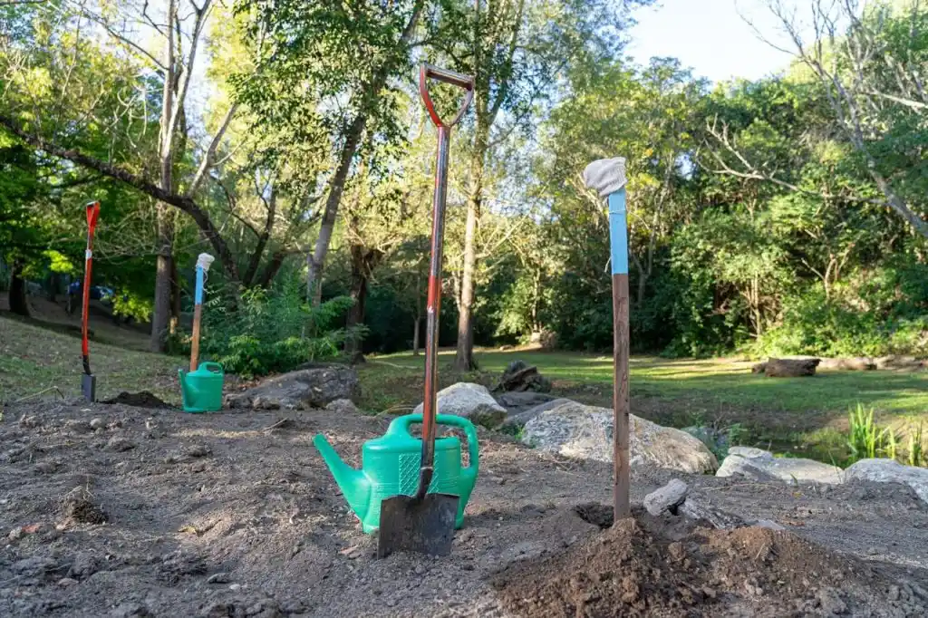 Forestar, impulsar y educar