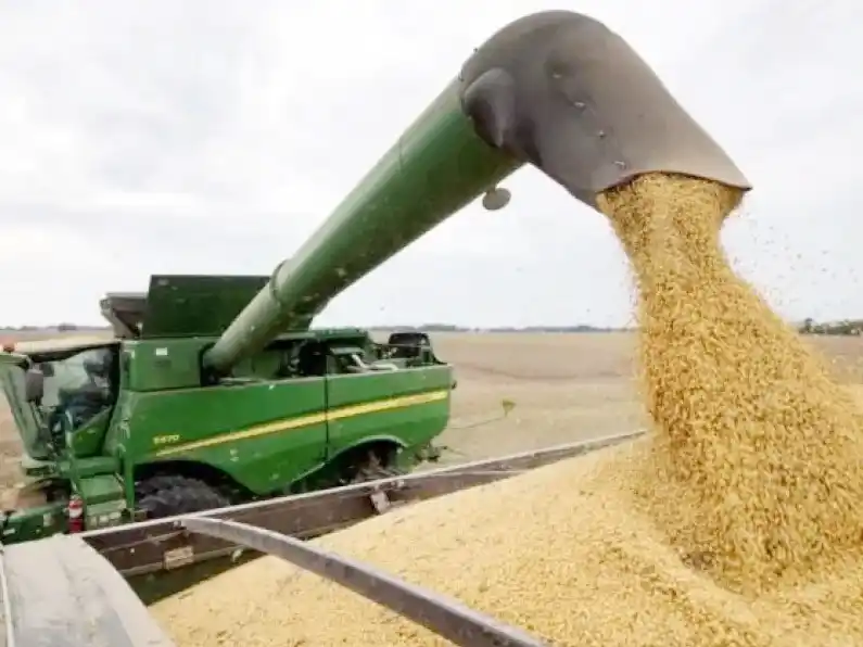 Estiman que la producción de soja de primera alcanzaría las 690.000 toneladas y la de segunda sería de 1.500.000