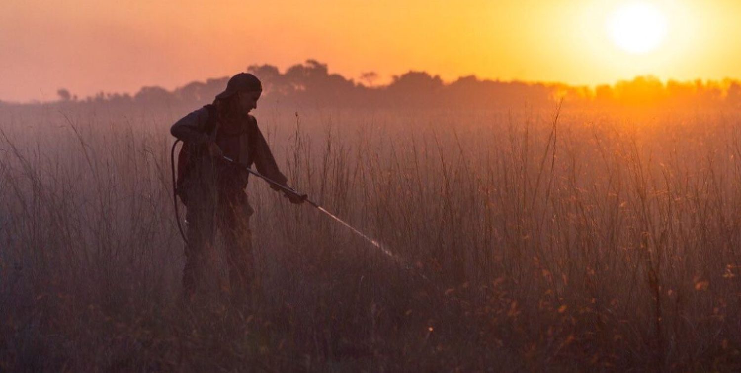 Los Esteros del Iberá en “estado crítico” por los incendios forestales en Corrientes