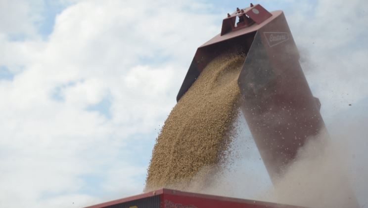 La producción de soja sería la tercera más alta en la historia entrerriana