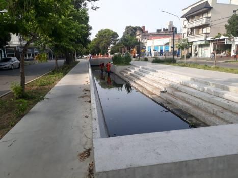 Preocupa a los vecinos de Av. Freyre la proliferación de mosquitos