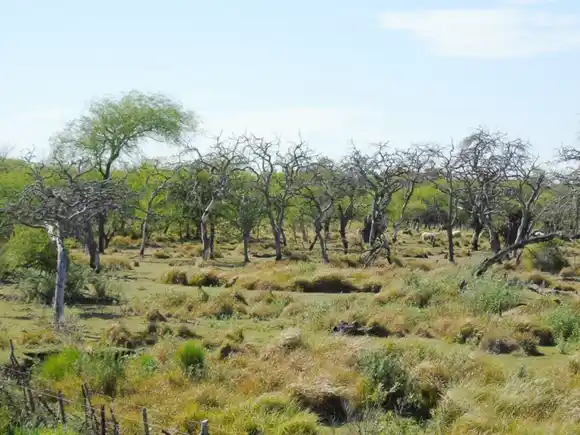 Primer encuentro participativo para diseñar el Plan provincial de Respuesta al Cambio Climático