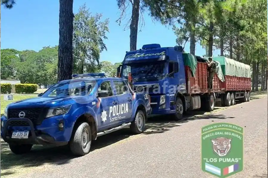 El conductor de un camión fue detenido por transportar girasol con documentación vencida