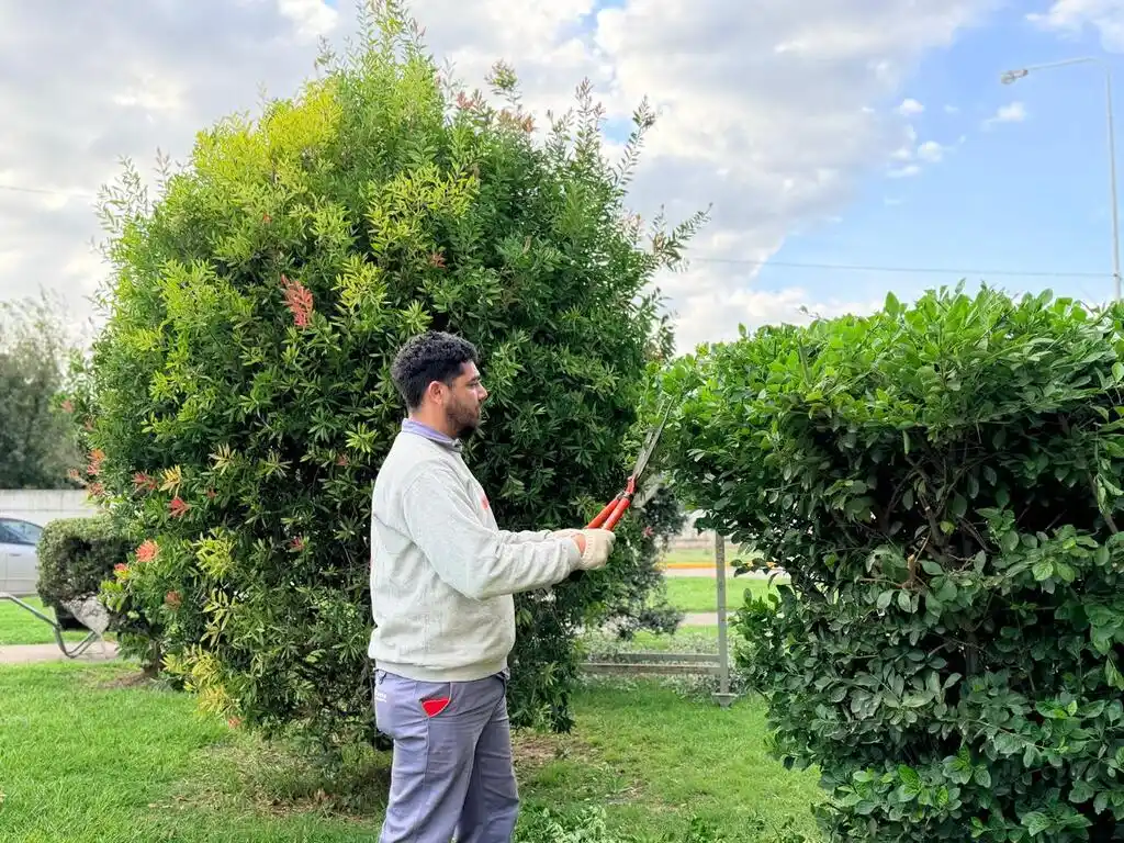 Realizan tareas de mantenimiento en el Cementerio Municipal