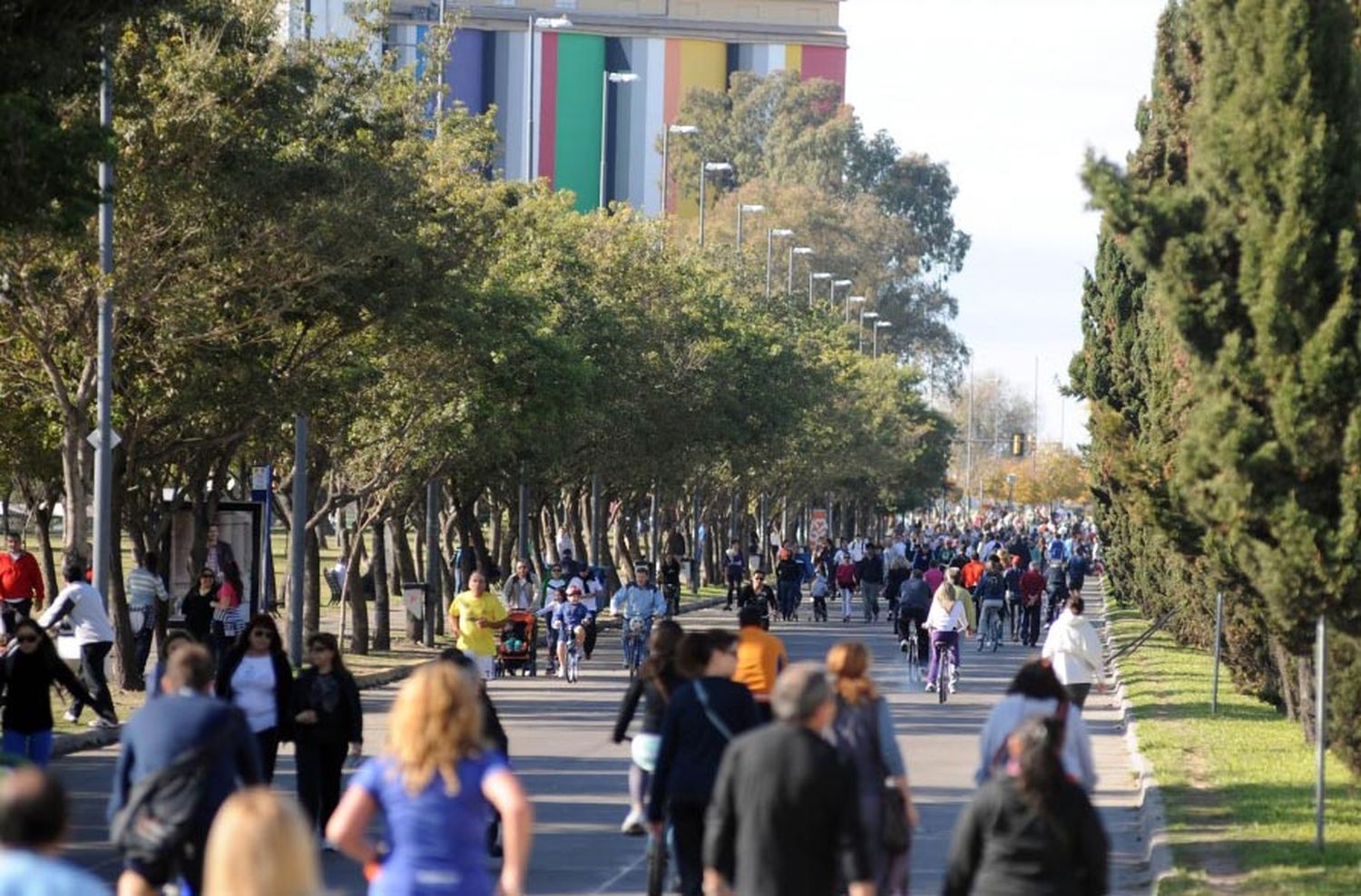 Cómo será la actividad en Rosario los lunes 7 y 14 de octubre
