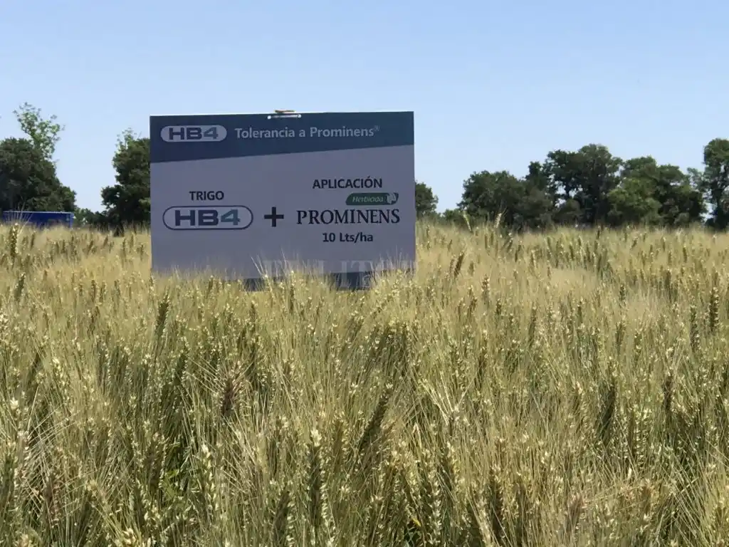 Argentina alcanzó el récord de aprobación de biotecnología