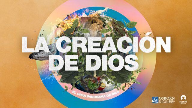 La esperanza y la casa común