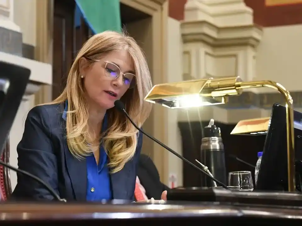 Tenso empate en el Senado bonaerense habilitó la reelección indefinida de legisladores