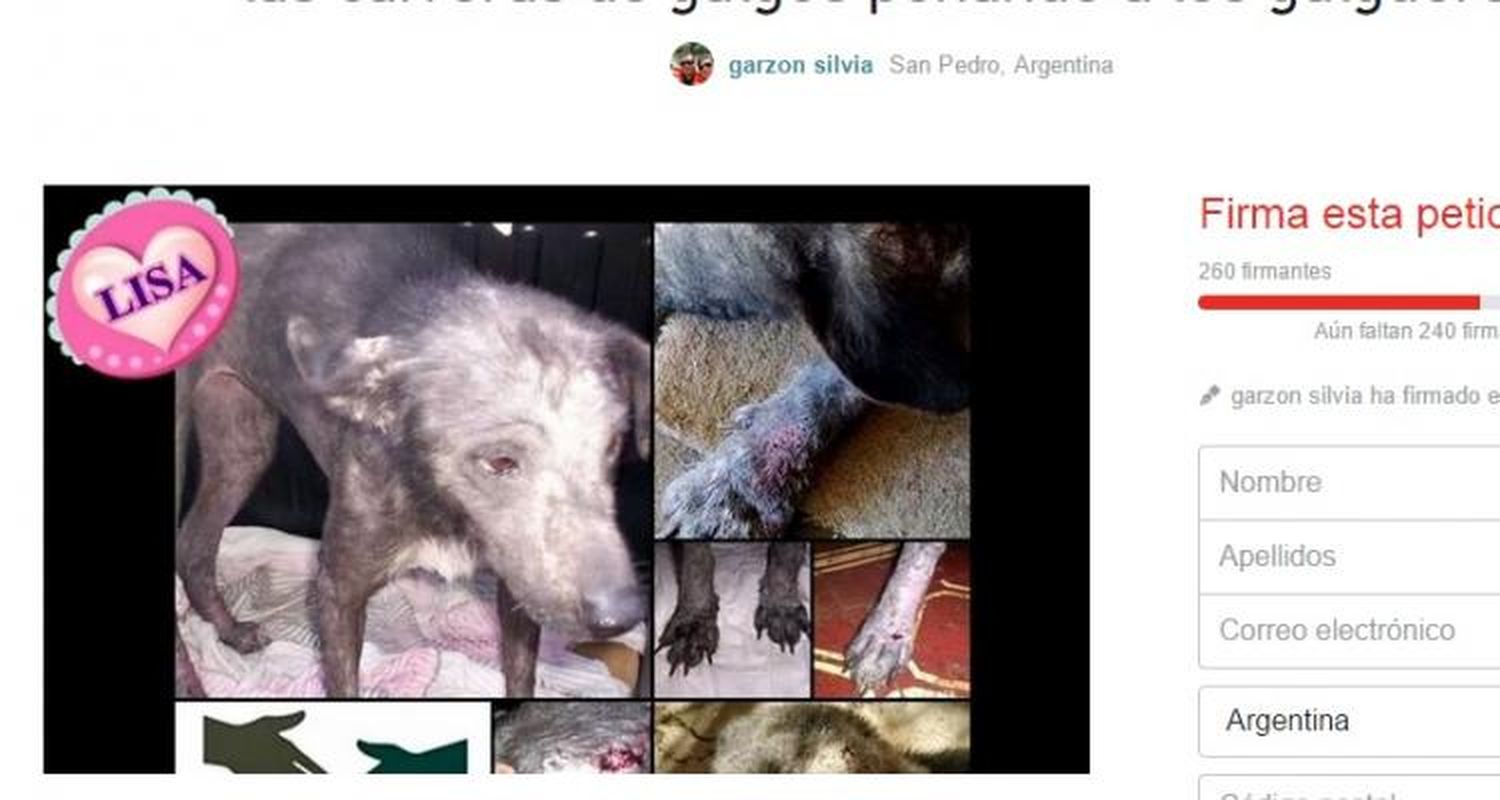 Campaña para terminar con las carreras de galgos