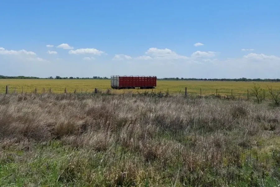 RN11: a un camión se le desenganchó el acoplado y terminó en medio del campo