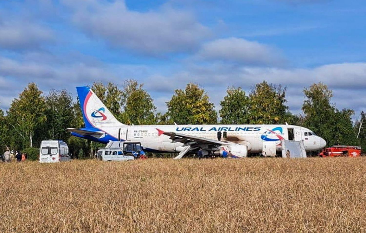 A320 de Ural Airlines aterriza de emergencia en un campo en Siberia: esto sabemos