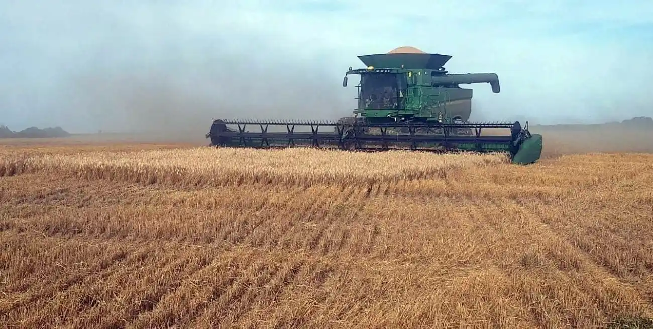 Las heladas traen una oportunidad clave para la siembra de trigo en la región núcleo.