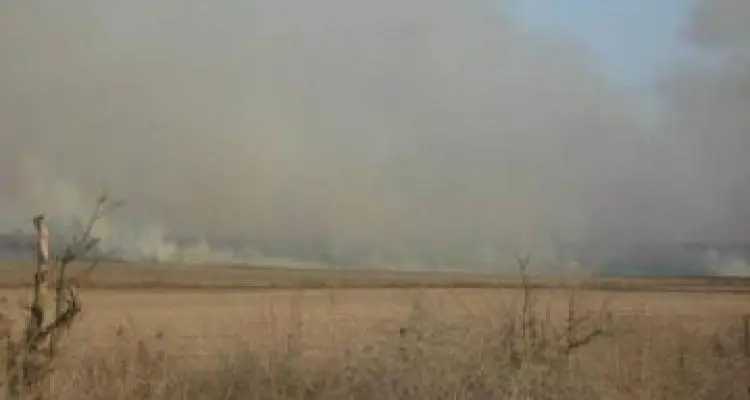 Productores denuncian incendios intencionales de campos y granos