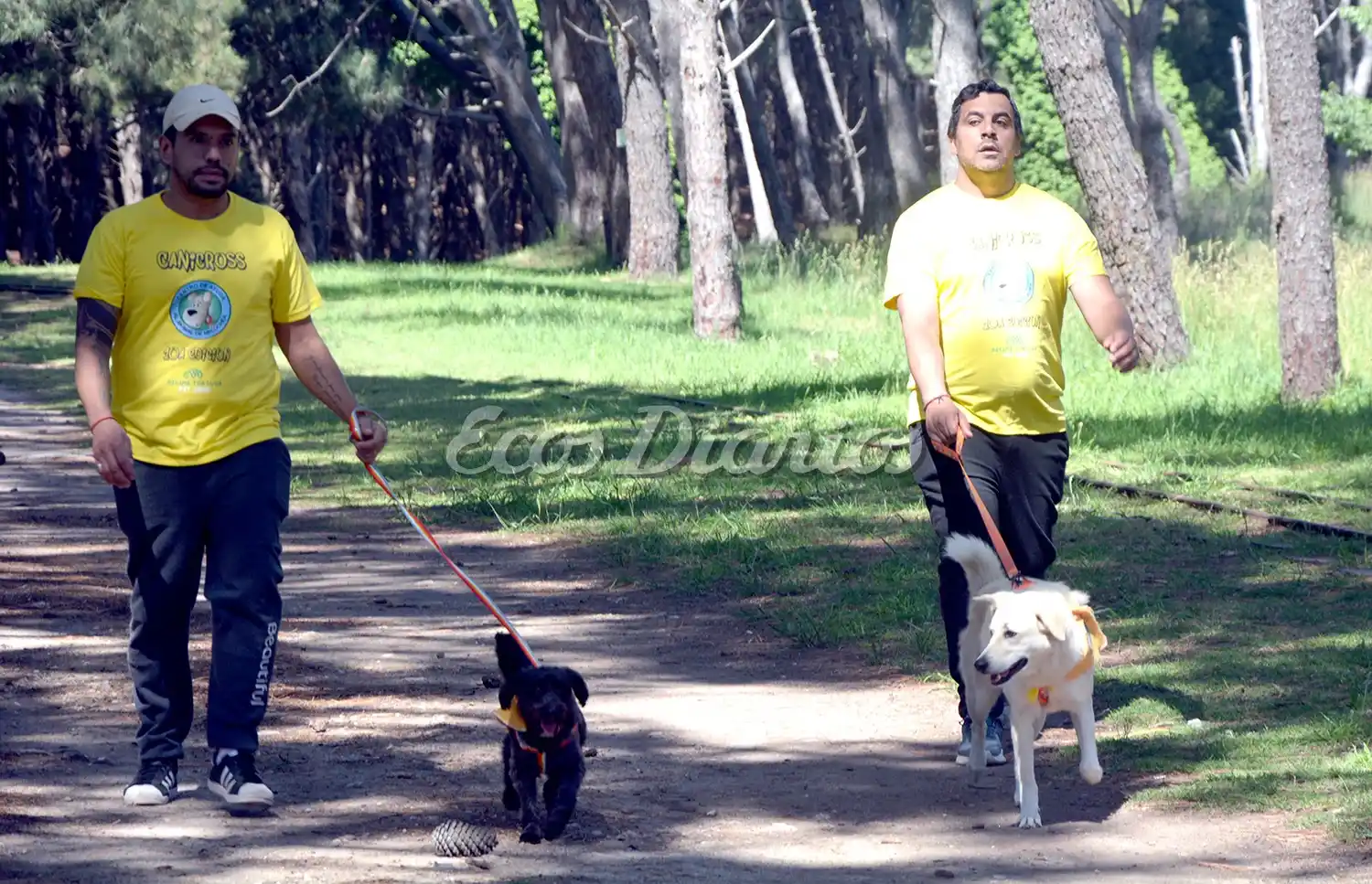 Caminando por el Parque Lillo con el mejor amigo