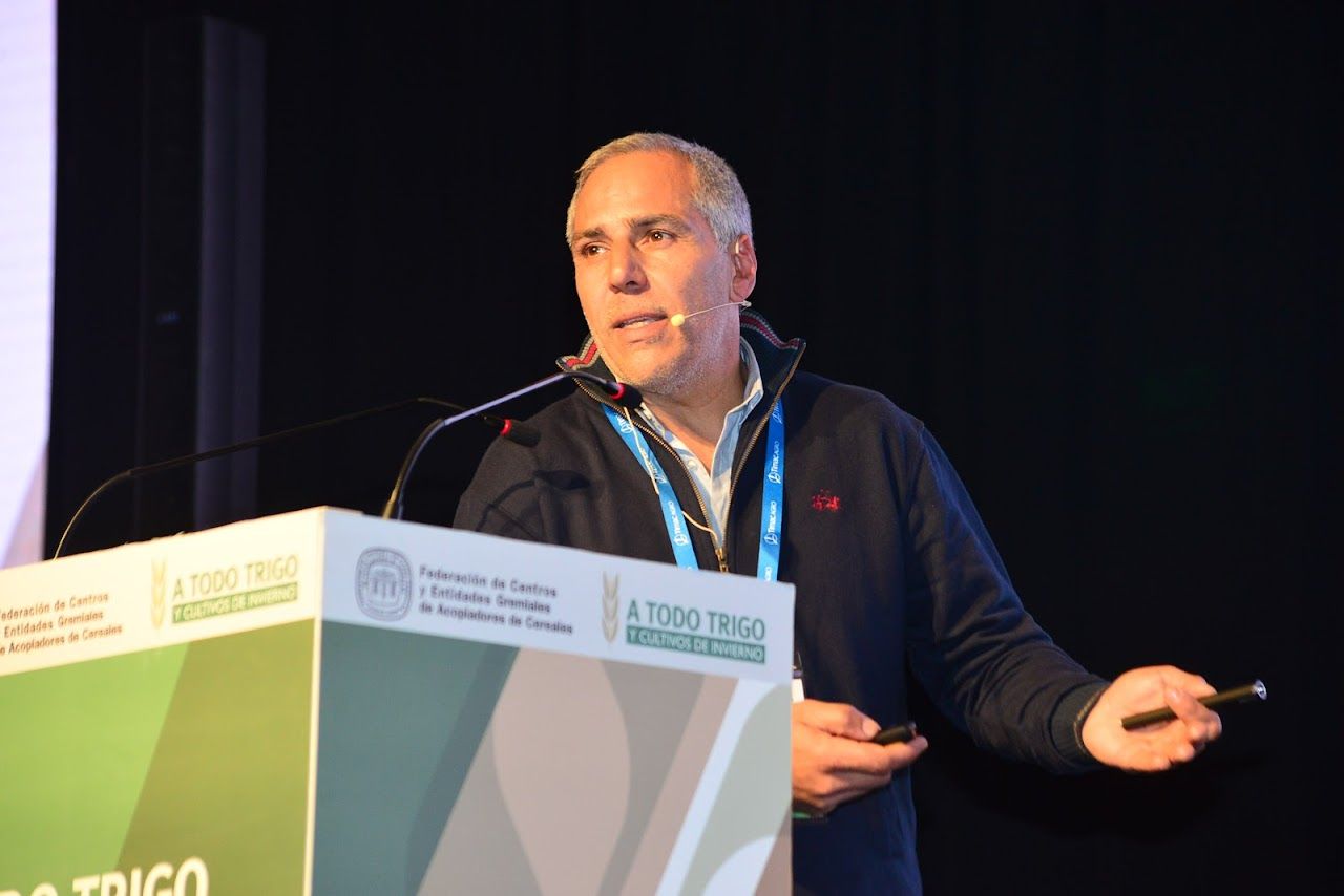Producir un kilo de trigo agroecológico cuesta un 44% menos que del convencional