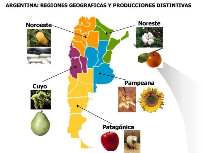CRA y dólar soja: “No releguemos más a las economías regionales”