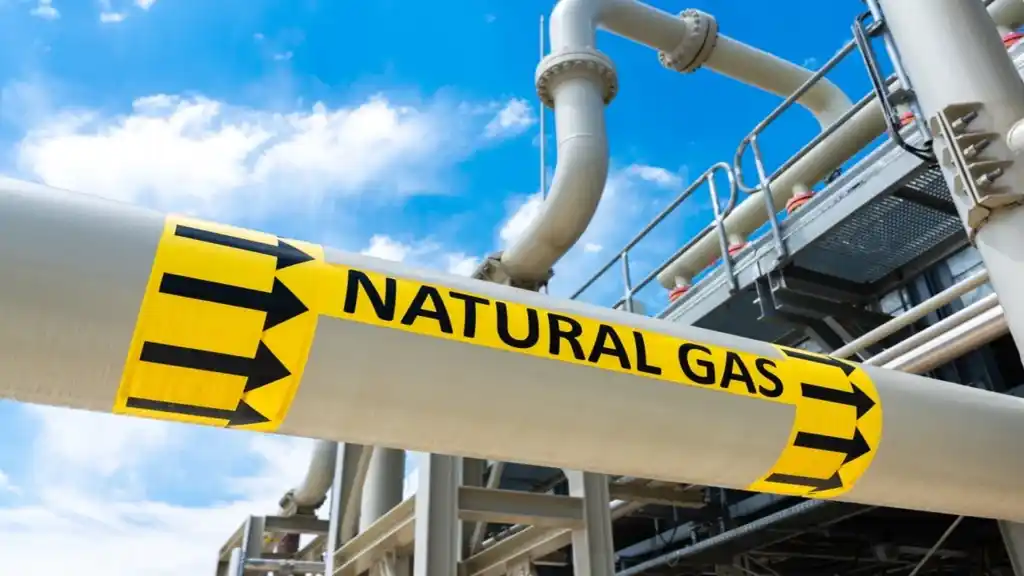 Cuadro tarifario con el precio del gas en PIST para las distribuidoras, dependiendo la zona y el tipo de usuario.