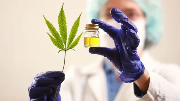El primer “Encuentro Nacional Sobre Cáñamo y Cannabis Medicinal” será en Tandil