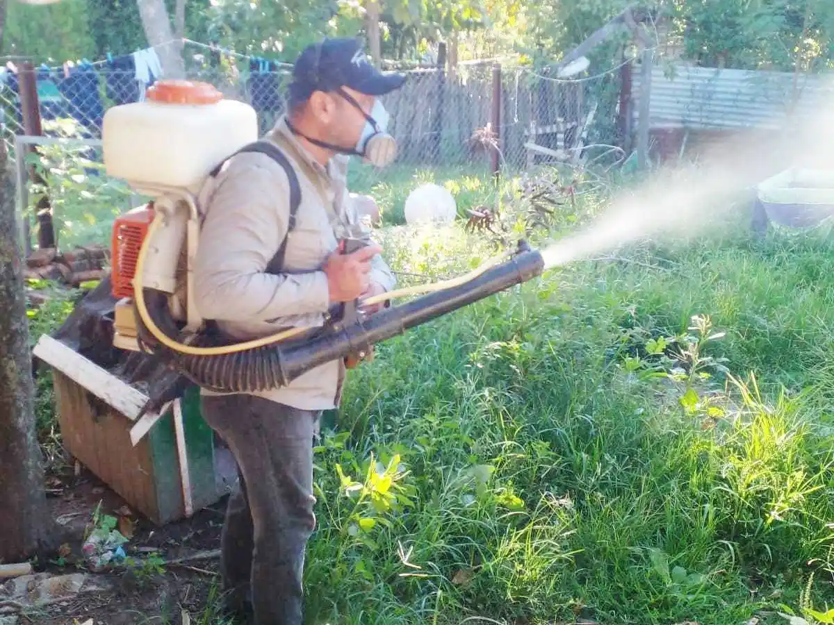 Dengue: En toda la provincia se evidencia
una curva de contagios en descenso