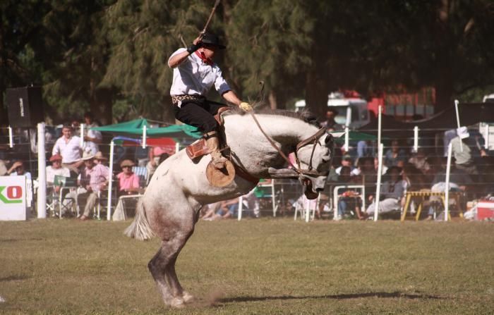 Festejos por el 25 de Mayo en la Provincia 