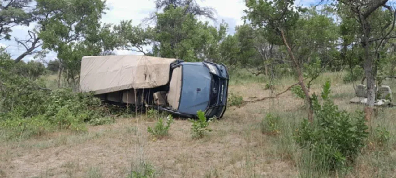 Safari trágico: una turista de 80 años murió tras ser embestida por un elefante en Zambia