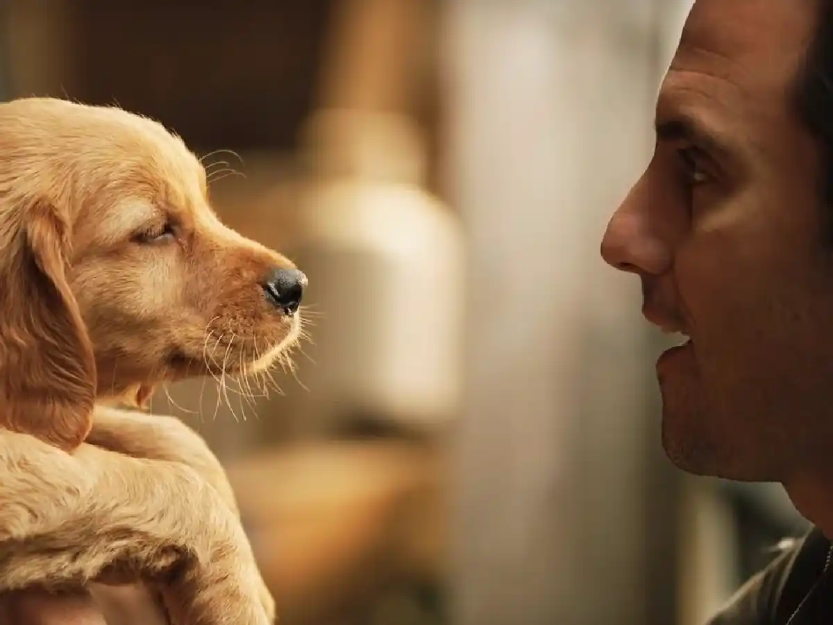 "Mi amigo Enzo" llega al Cine Radar 