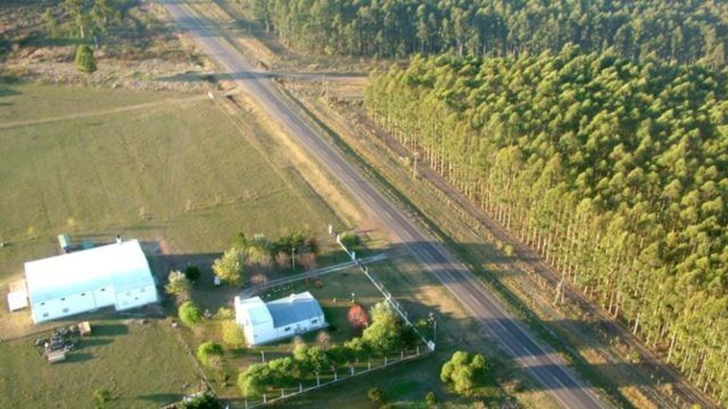 Un político entrerriano murió tras chocar contra un tractor 