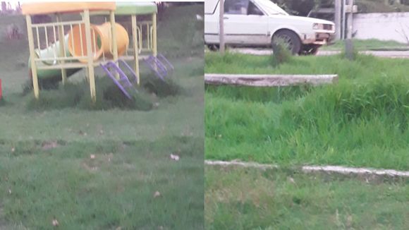 Necesitan corte de pasto en la placita de El Amanecer