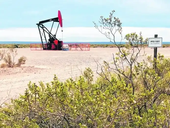 Río Negro autorizó a Pan American Energy a explorar el bloque Cinco Saltos Sur con una inversión inicial de 8,5 millones de dólares. Foto: Gentileza