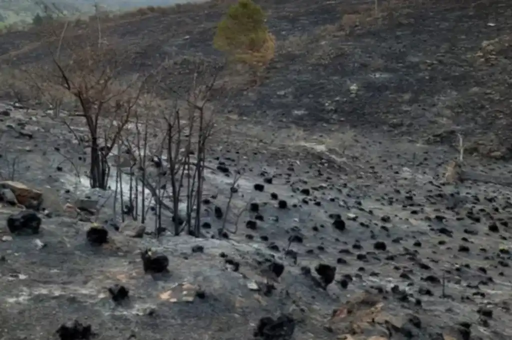 Chubut: declaran la emergencia agropecuaria
