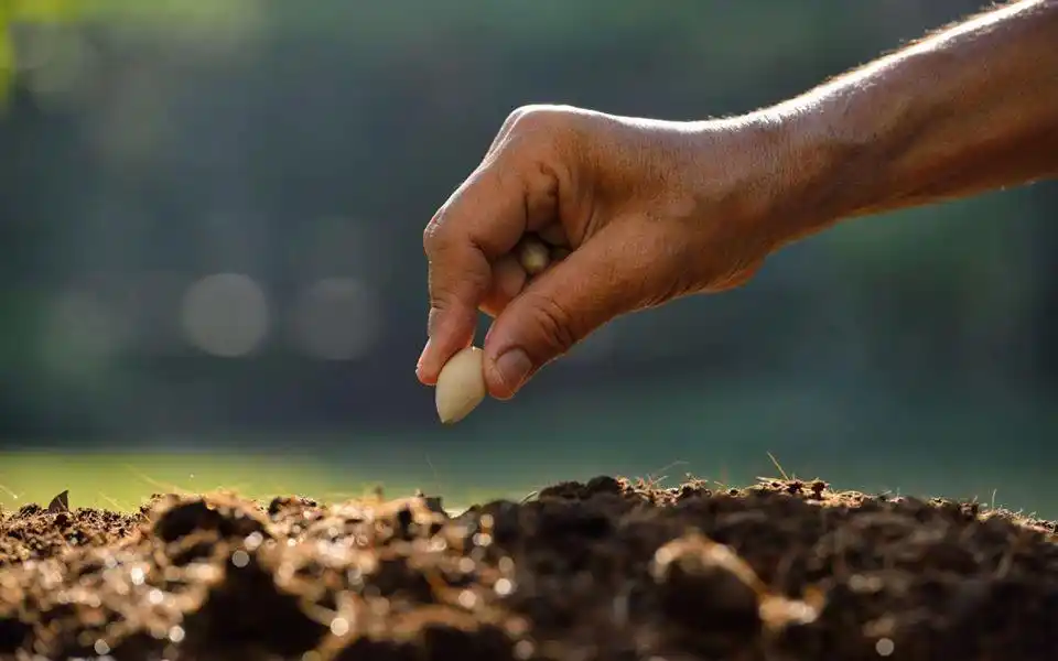 Hoy se conmemora el Día del Periodista agropecuario