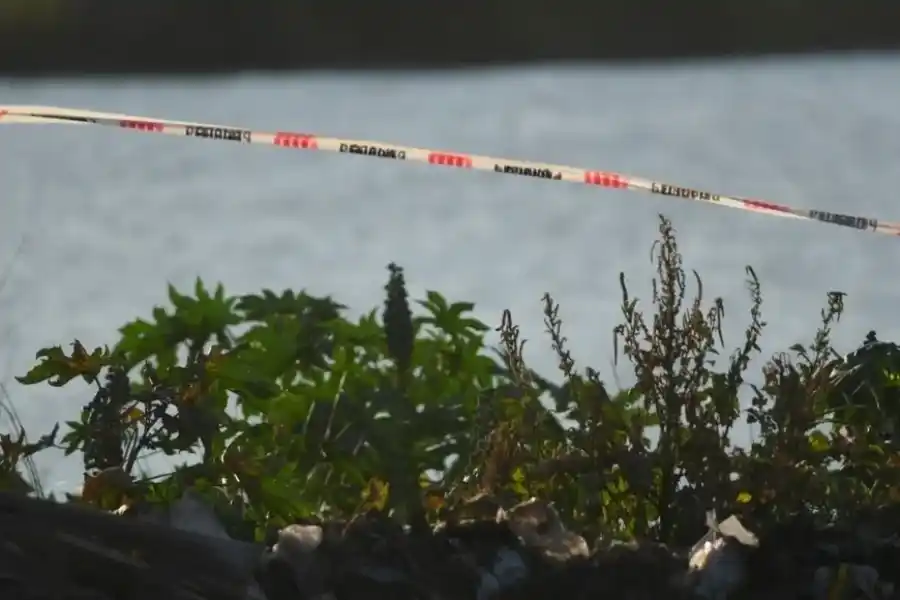 Peritos de Criminalística y Forense de la PDI tomaron cartas en el asunto. Foto: Manuel Fabatía