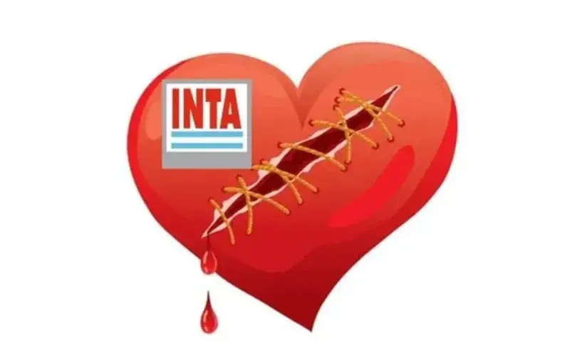 APINTA denunció la salida de 11 trabajadores del INTA El Colorado y advirtió sobre pérdida de capacidades técnicas