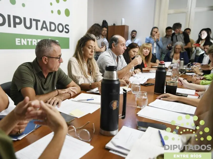 Diputados avanza en la regulación del juicio político tras años sin definiciones