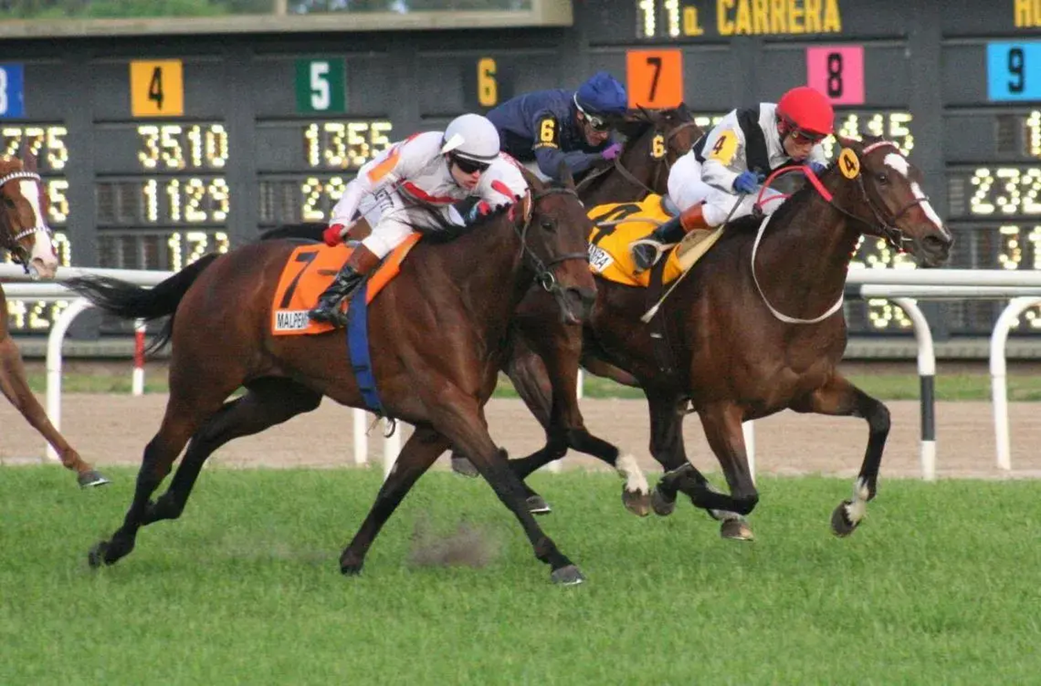 Miércoles 18: Actividad en el Hipódromo de San Isidro