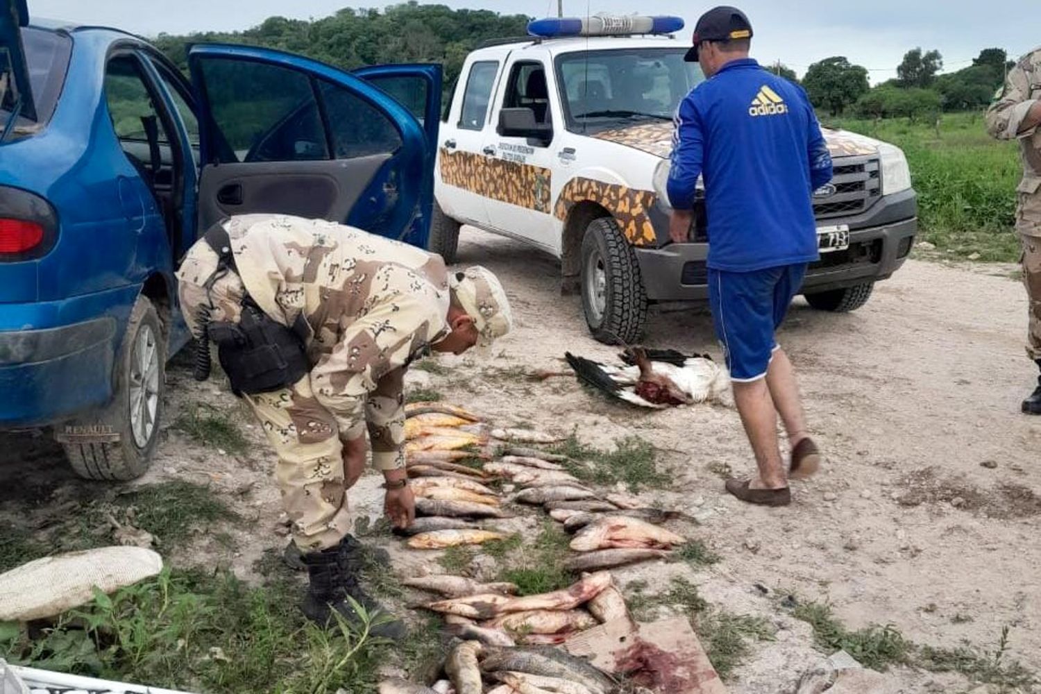 La Policía de Entre Ríos secuestró armas y decomisó especies en veda