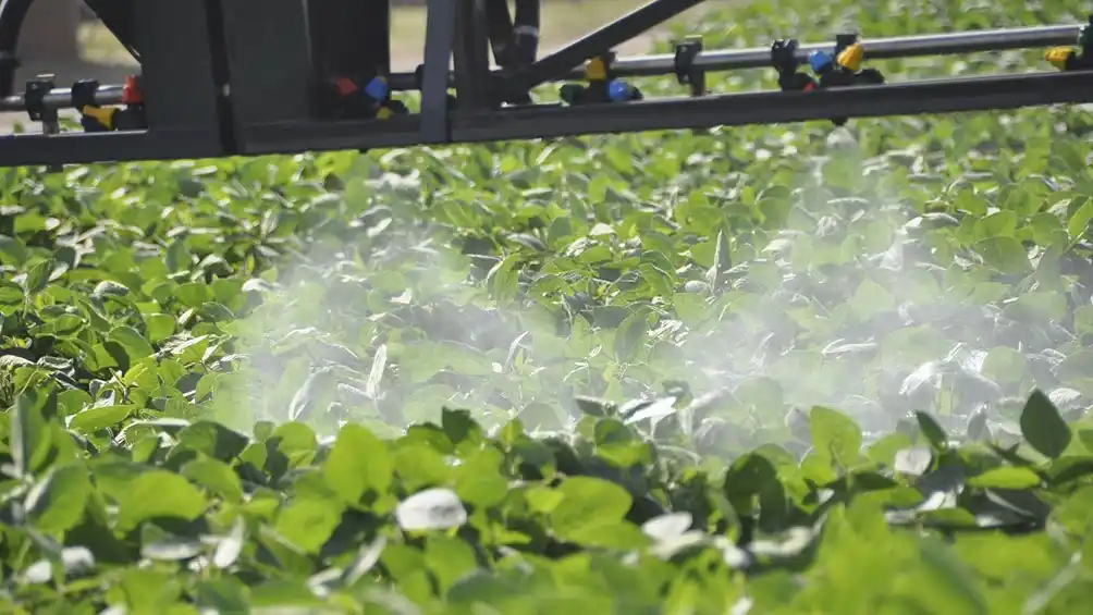 La UE renovará la autorización del uso de glifosato por 10 años