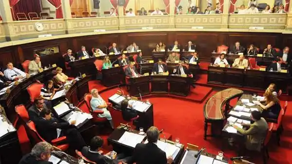 Policías Comunales: Nuevo debate en el Senado en medio del conflicto entre sciolistas y massistas
