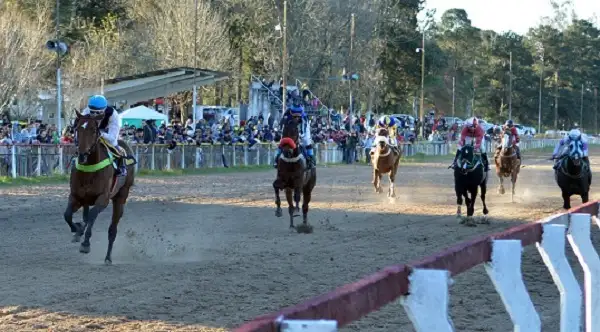 Turf: Star Near ganó el Clásico “Gral. José de San Martín” en Concepción