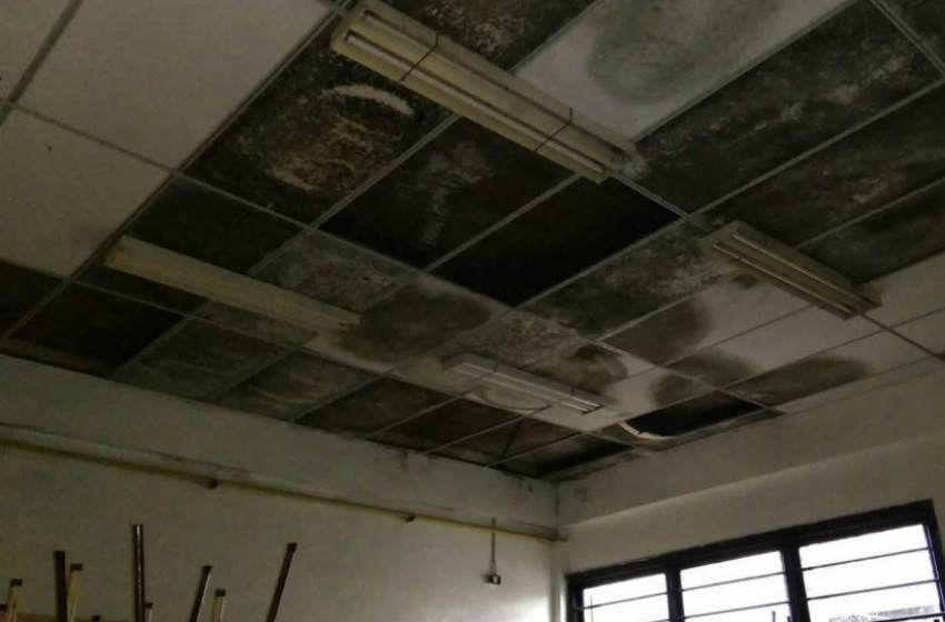 Advierten múltiples problemas edilicios en la mitad de las escuelas