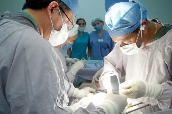 Pablo Sors: “Las dos primeras causas de fallecimiento son accidenteales”