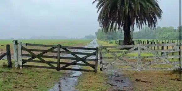 Desde el fin de semana regresan las lluvias a toda el área agrícola santafesina