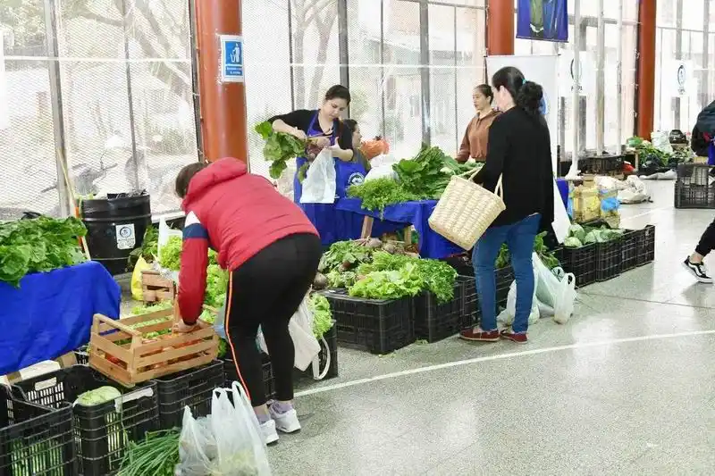 Las familias siguen eligiendo las ferias del PAIPPA 
para realizar sus compras de frutas y verduras