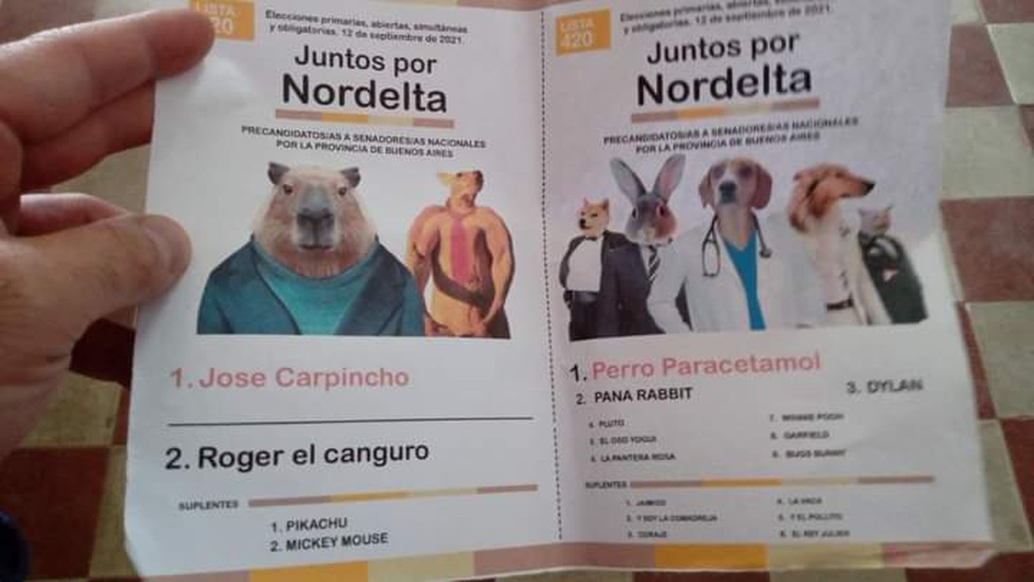 Los carpinchos llegaron a Bahía: Dejaron una boleta con sus candidaturas